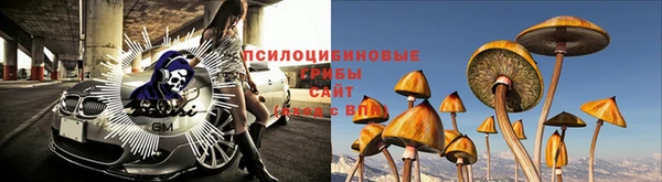 крисы Беломорск