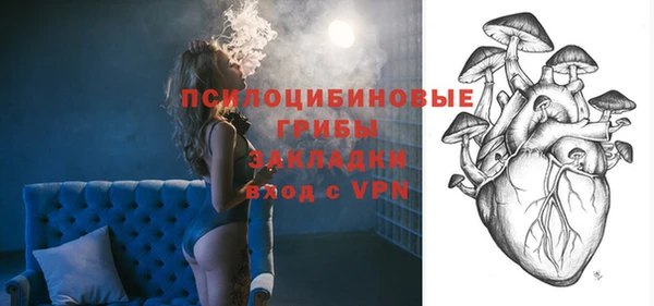 соль ск Белокуриха