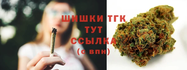 соль ск Белокуриха