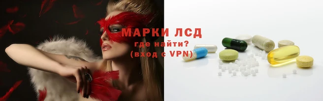 крисы Беломорск