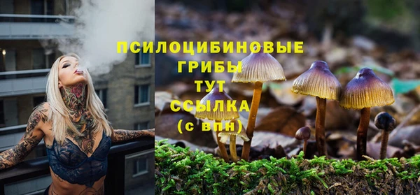 соль ск Белокуриха