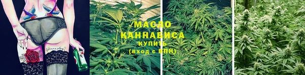 соль ск Белокуриха