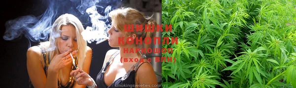 каннабис Коряжма