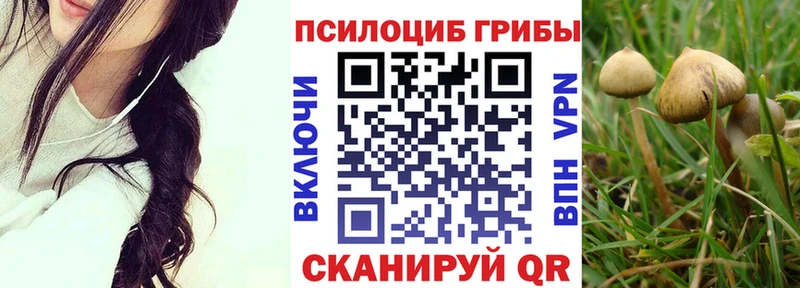 Псилоцибиновые грибы Psilocybine cubensis  Верещагино 